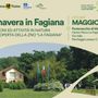 Primavera nel bosco: un’escursione nella natura del Parco del Ticino, domenica 18
