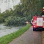 Tragedia a Robecchetto con Induno: albero crolla per il maltempo e uccide una donna