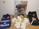 Traffico di droga, 38 arresti (uno anche in provincia di Pavia) sequestrati oltre 10 milioni di euro