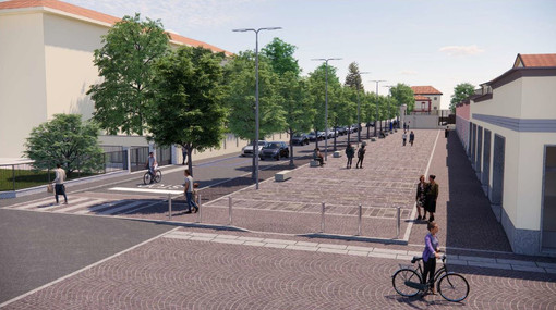 Vigevano, riqualificazione dell’area del mercato coperto: "I lavori confermano l’interferenza delle radici con la pavimentazione"