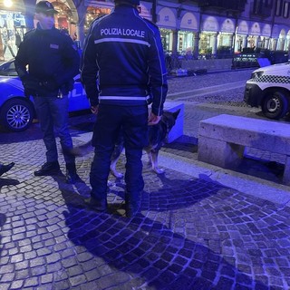 Pavia, rafforzati i presidi nelle aree sensibili: sequestrata sostanza stupefacente nelle aree della movida