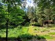 Riapre il giardino botanico di Pietra Corva