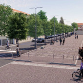 Vigevano, riqualificazione dell’area del mercato coperto: &quot;I lavori confermano l’interferenza delle radici con la pavimentazione&quot;