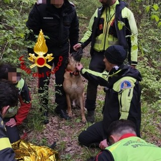 I Vigili del fuoco del comando di Pavia decisivi per il ritrovamento di un'anziana 92enne nel Parmense