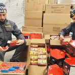 Sequestrate 4,5 tonnellate di fuochi d'artificio stoccati senza sicurezza, depositi illegali anche a Gambolò e Mortara Sequestrate 4,5 tonnellate di fuochi d'artificio stoccati senza sicurezza, depositi illegali anche a Gambolò e Mortara