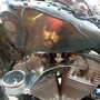 Milano, una Harley Davidson “da pirata” realizzata per Johnny Depp