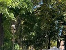 Pavia, tornano in Allea Viale Matteotti le occasioni vintage del Mercatino del Ri-Uso: domenica 20 Ottobre appuntamento con economia circolare e socialità