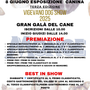 3° edizione del &quot;Vigevano Dog Show&quot;