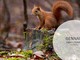 57 fotografi, 18 classi: è un successo il concorso fotografico indetto dal parco del Ticino 57 fotografi, 18 classi: è un successo il concorso fotografico indetto dal parco del Ticino