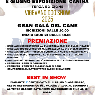 3° edizione del &quot;Vigevano Dog Show&quot;