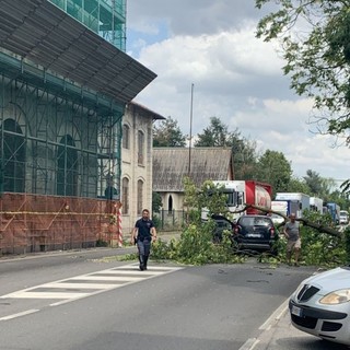 Magenta: vento abbatte le piante lungo la statale di Pontenuovo che finiscono su un’auto in transito