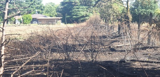 Magenta: incendio in vallata, domato dai Vigili del Fuoco. In salvo le abitazioni