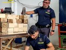 Pavia: scoperta una fabbrica di pellet contraffatti, sequestrati due capannoni