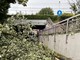 Magenta, il temporale abbatte un albero: bloccato il sottopasso ferroviario di via Espinasse per un’ora