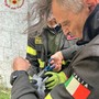 Vidigulfo, piccione intrappolato in un filo da pesca: i Vigili del fuoco intervengono e lo liberano