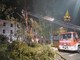 Pavia: albero pericolante sul Lungo Ticino, intervengono i Vigili del fuoco