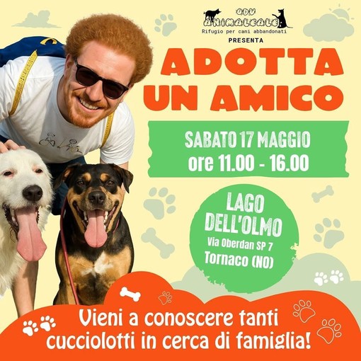 &quot;Adotta una amico&quot;, a Tornaco l'evento di &quot;Animaleale ODV&quot;