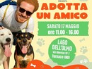 "Adotta una amico", a Tornaco l'evento di "Animaleale ODV"