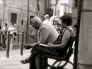 Novara, “test viventi” per studio sull’invecchiamento condotto dal centro di ricerca &quot;Ipazia&quot;