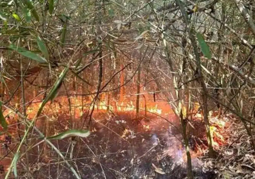 Boffalora: il pronto intervento dei volontari del Parco ha evitato danni ben più gravi