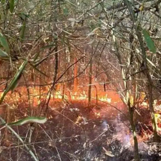 Boffalora: il pronto intervento dei volontari del Parco ha evitato danni ben più gravi