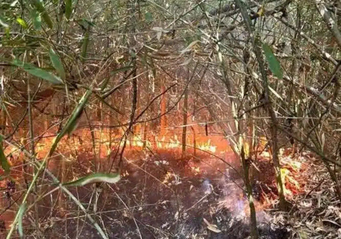 Boffalora: il pronto intervento dei volontari del Parco ha evitato danni ben più gravi