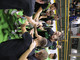 Volley B maschile, Garlasco riceve Mondovì al palaBalduzzi Volley B maschile, Garlasco riceve Mondovì al palaBalduzzi