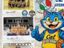 Basket, CAT Vigevano protagonista al "Città di Trento", sfiora la vittoria nella categoria Aquilotti 15/16