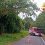 Maltempo, quasi 50 interventi dei Vigili del Fuoco in provincia di Pavia Maltempo, quasi 50 interventi dei Vigili del Fuoco in provincia di Pavia