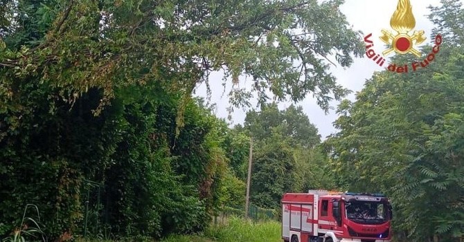 Maltempo, quasi 50 interventi dei Vigili del Fuoco in provincia di Pavia Maltempo, quasi 50 interventi dei Vigili del Fuoco in provincia di Pavia