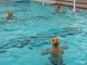 Pallanuoto, successo in amichevole per la under 17 dell'H2Sport Vigevano