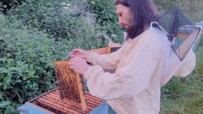 Palestro, apiario spazzato via dalla piena del Sesia. Apicoltore lancia raccolta fondi per ripartire