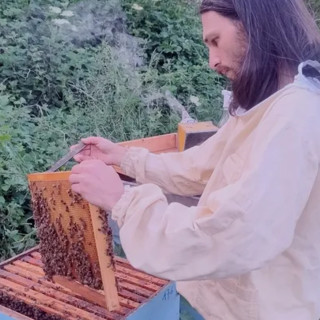 Palestro, apiario spazzato via dalla piena del Sesia. Apicoltore lancia raccolta fondi per ripartire