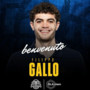 Basket serie A2, Filippo Gallo colpo di mercato di Vigevano 1955: “Qui perché vivo di emozioni” Basket serie A2, Filippo Gallo colpo di mercato di Vigevano 1955: “Qui perché vivo di emozioni”
