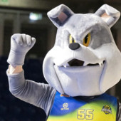 (foto Vigevano 1955) (foto Vigevano 1955)