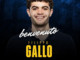 Basket serie A2, Filippo Gallo colpo di mercato di Vigevano 1955: “Qui perché vivo di emozioni” Basket serie A2, Filippo Gallo colpo di mercato di Vigevano 1955: “Qui perché vivo di emozioni”