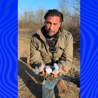 (foto tratta dal sito striscialanotizia.mediaset.it)