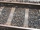 Magenta, tragedia sui binari: travolto dal treno all’altezza di Pontenuovo Magenta, tragedia sui binari: travolto dal treno all’altezza di Pontenuovo