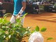 Tennis: Filippo Baldi esce al primo turno del challenger di Brest Tennis: Filippo Baldi esce al primo turno del challenger di Brest