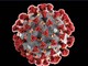 Pavia: indagine epidemiologica per la ricerca di anticorpi anti Coronavirus, sui donatori sani del primo focolaio epidemico