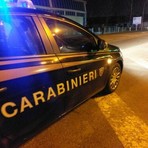 Container rubati tra il Piemonte e la Lombardia, sgominata la "banda dei tir" Container rubati tra il Piemonte e la Lombardia, sgominata la "banda dei tir"