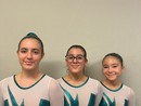 Ginnastica, le giovani atlete della Costanza Mortara impegnate nel campionato silver