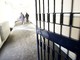 Abbiategrasso: custodia cautelare in carcere per il 16enne dell’Alessandrini