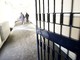 Furti all’outlet di Vicolungo: niente carcere per il bernatese arrestato in flagranza di reato Furti all’outlet di Vicolungo: niente carcere per il bernatese arrestato in flagranza di reato