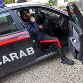 Novara: vende abusivamente alcol e cibo, denunciata