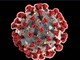 Progetto ALFABETO “ALL FAster, BEtter, TOgether - SARS-CoV2” , Intelligenza artificiale a supporto della clinica Progetto ALFABETO “ALL FAster, BEtter, TOgether - SARS-CoV2” , Intelligenza artificiale a supporto della clinica