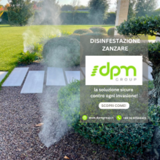 Zanzare, l’invasione silenziosa: DPM Group al lavoro con trattamenti mirati e sostenibili