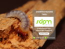 Tarli del legno: come difendersi con i trattamenti professionali a infrarossi di DPM Group Tarli del legno: come difendersi con i trattamenti professionali a infrarossi di DPM Group