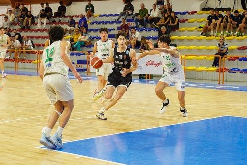 (credit: Federbasket)