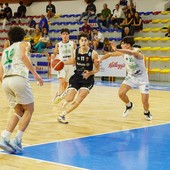 (credit: Federbasket)
